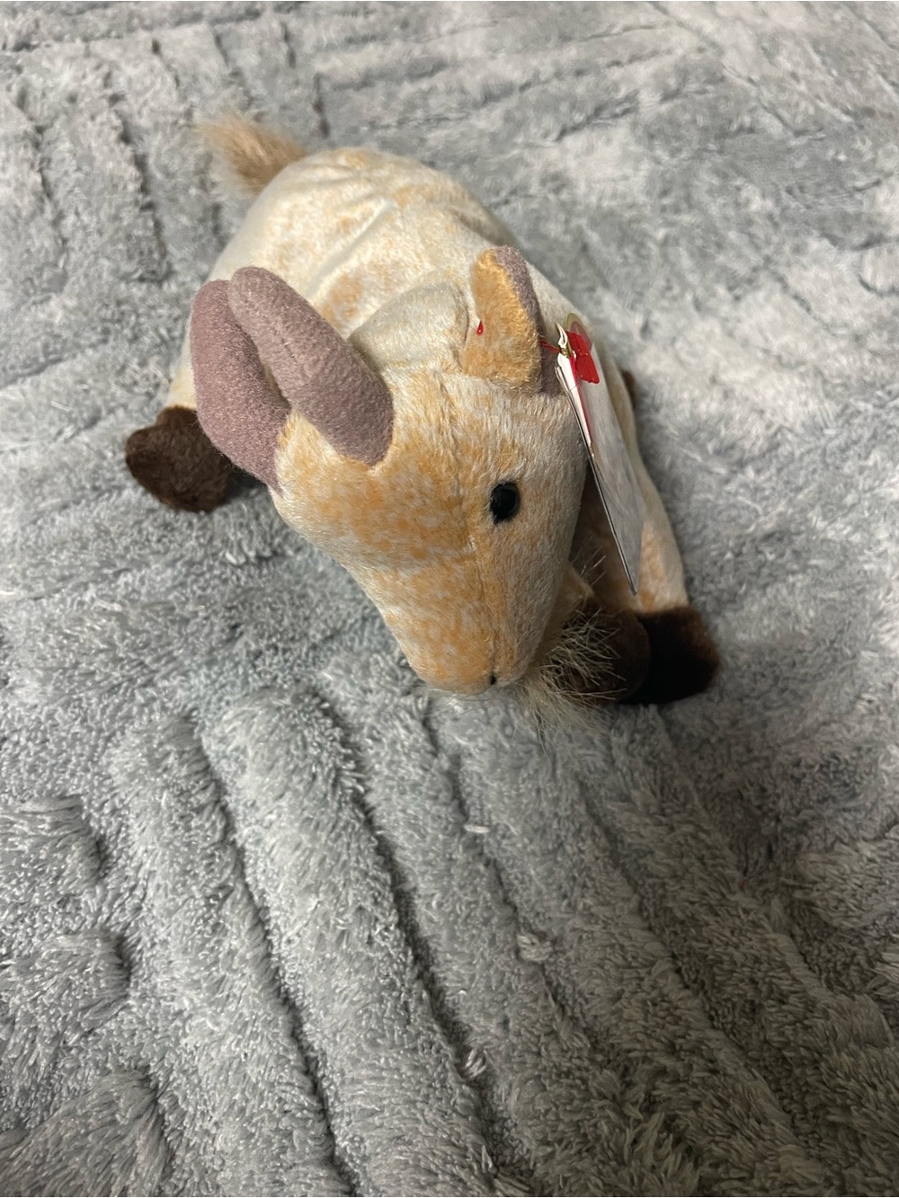 Goatee the Goat- Cream and Brown